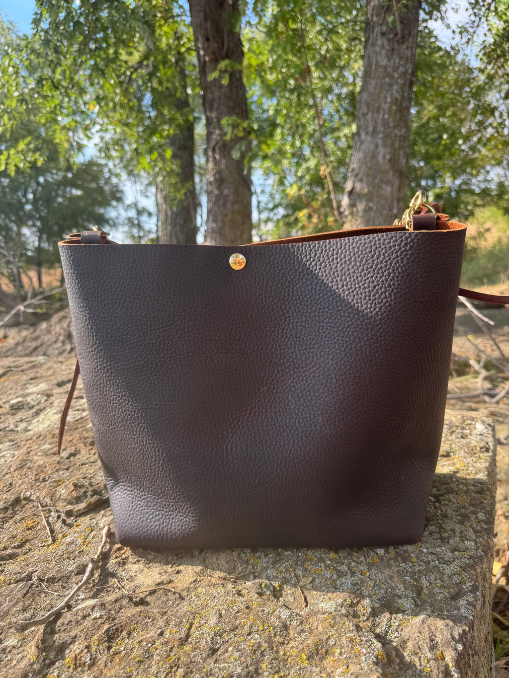 Chocolate Wild Pony Tote
