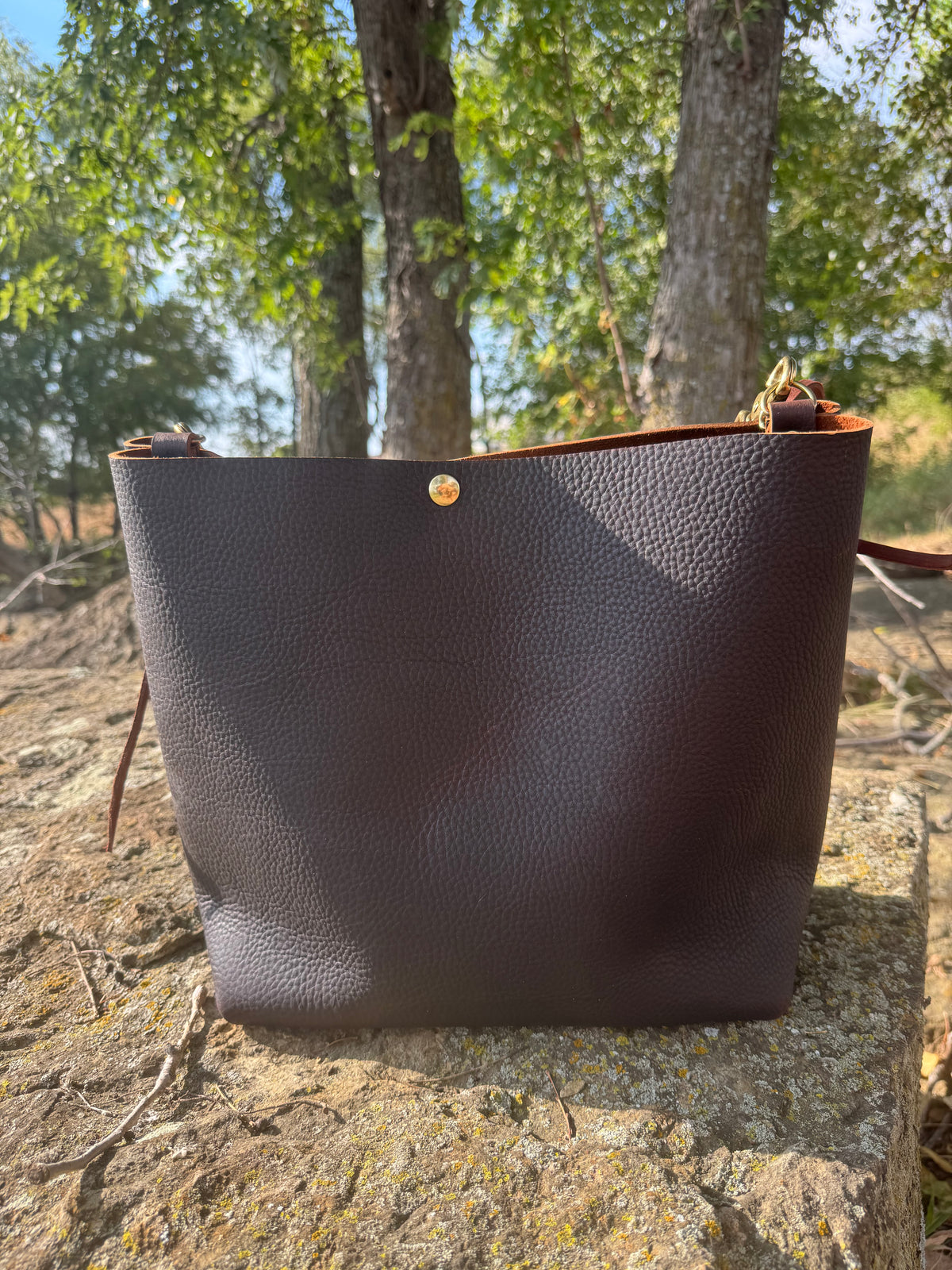 Chocolate Wild Pony Tote