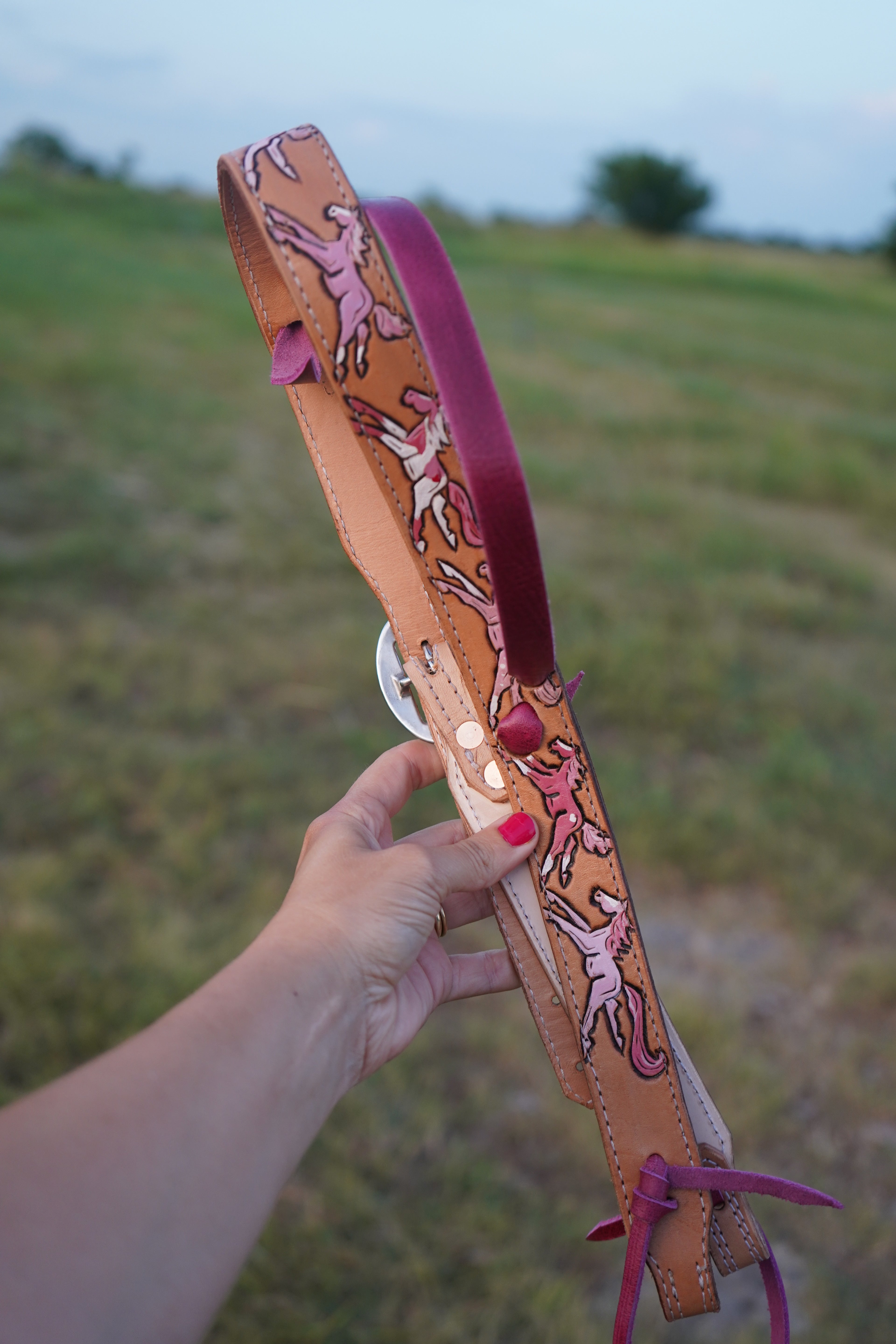 Pink Wild Pony Headstall