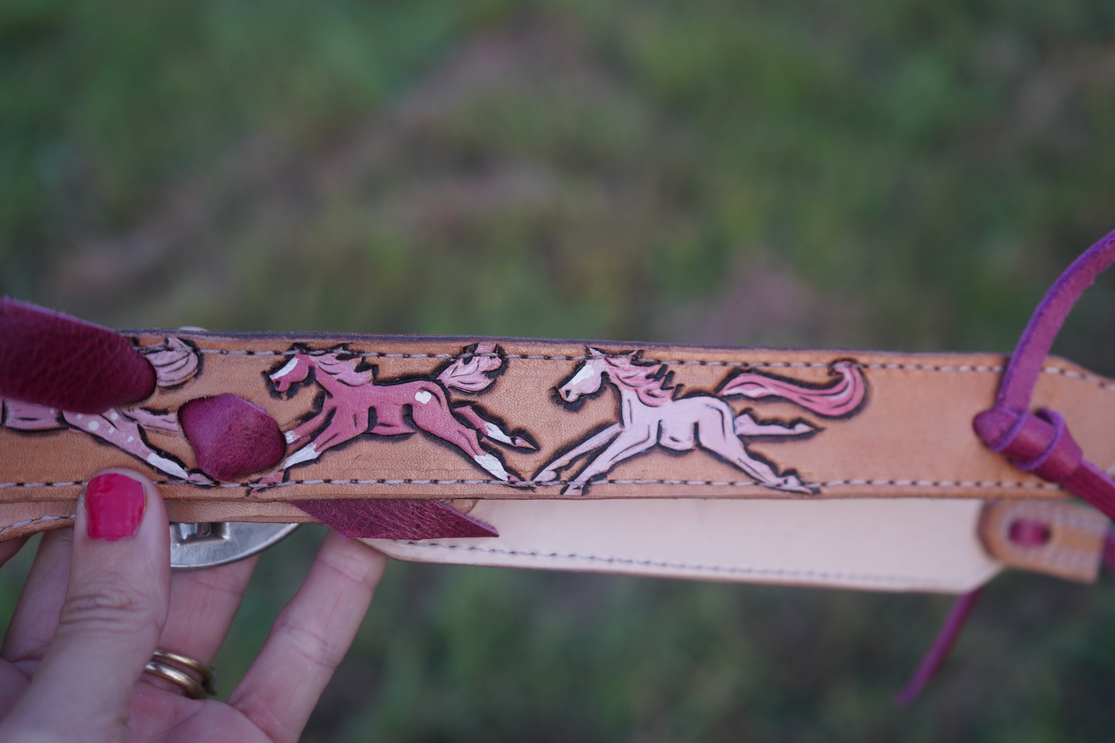 Pink Wild Pony Headstall
