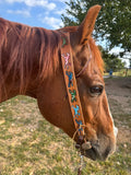 Custom Wild Pony Headstall