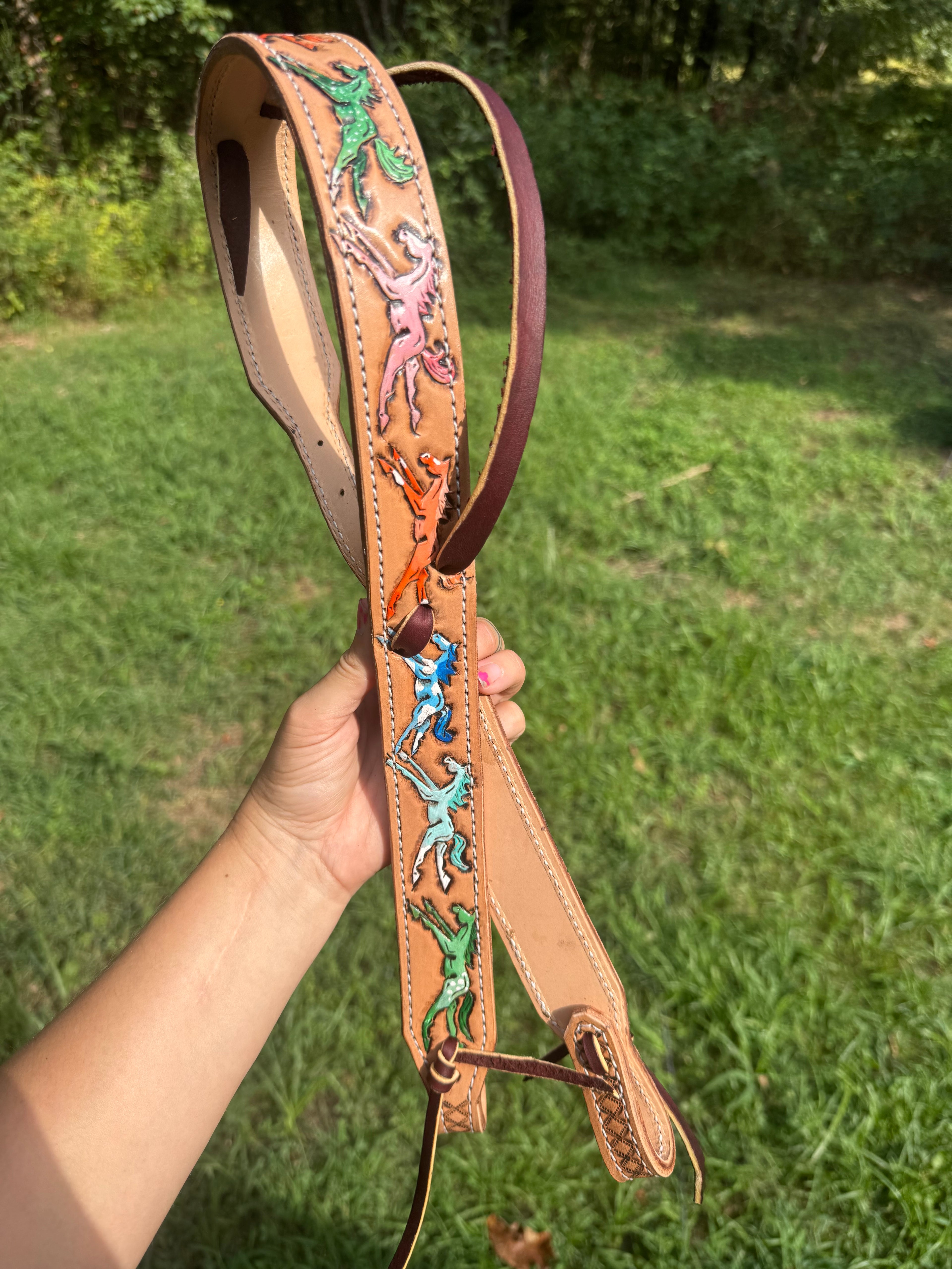 Custom Wild Pony Headstall